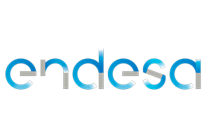 Partenaire OG energy endesa